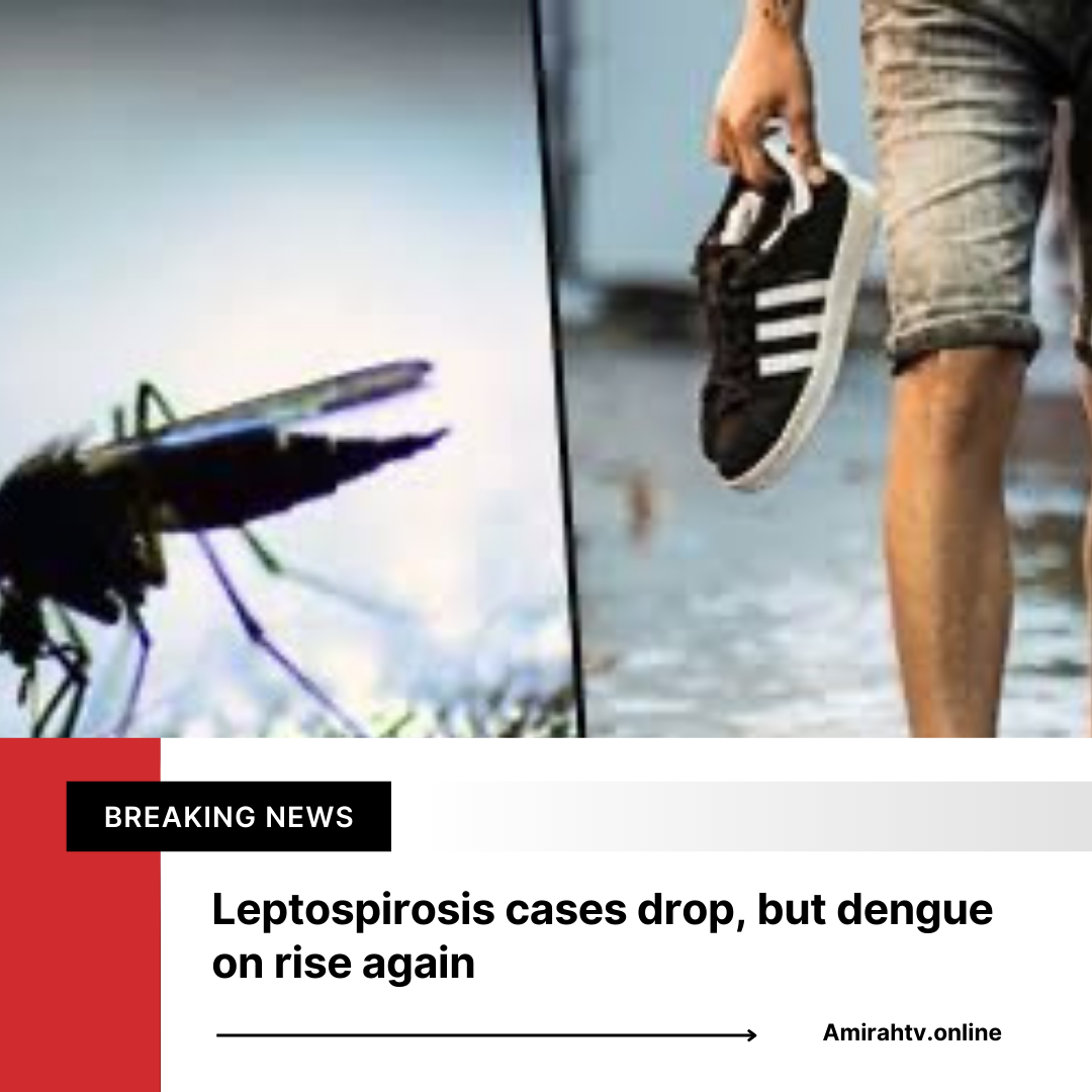 Leptospirosis cases drop, but dengue on rise again
